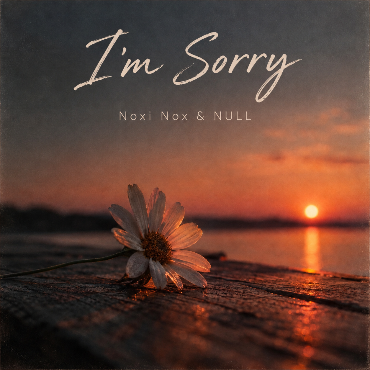 I'm Sorry